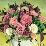 Thumbnail of post image 097