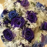 Thumbnail of post image 191