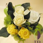 Thumbnail of post image 016