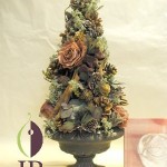 Thumbnail of post image 022