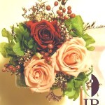 Thumbnail of post image 134