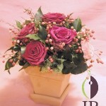 Thumbnail of post image 046