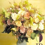 Thumbnail of post image 187