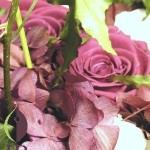 Thumbnail of post image 096