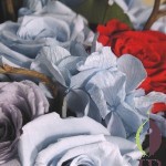 Thumbnail of post image 017