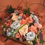 Thumbnail of post image 173