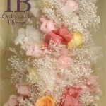 Thumbnail of post image 045