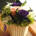 Thumbnail of post image 106