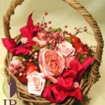 Thumbnail of post image 103