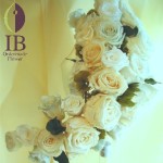 Thumbnail of post image 062