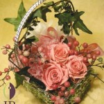 Thumbnail of post image 014