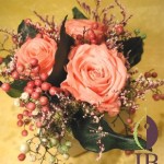 Thumbnail of post image 035