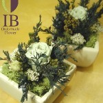 Thumbnail of post image 029