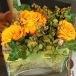 Thumbnail of post image 071