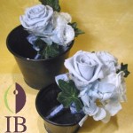 Thumbnail of post image 049