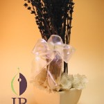 Thumbnail of post image 016