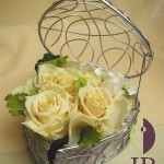 Thumbnail of post image 120