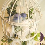 Thumbnail of post image 081