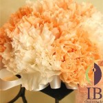 Thumbnail of post image 083