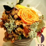 Thumbnail of post image 196