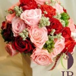 Thumbnail of post image 197