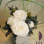 Thumbnail of post image 178