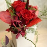 Thumbnail of post image 008