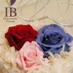 Thumbnail of post image 072