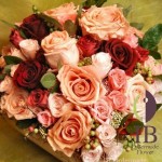 Thumbnail of post image 046