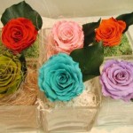 Thumbnail of post image 028