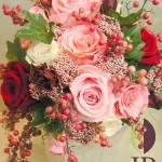 Thumbnail of post image 044