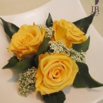 Thumbnail of post image 014