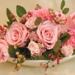 Thumbnail of post image 042