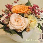 Thumbnail of post image 074