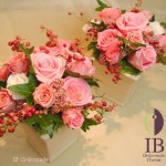 Thumbnail of post image 023