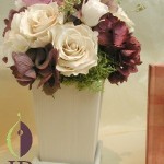 Thumbnail of post image 149