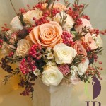 Thumbnail of post image 062