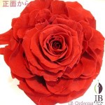 Thumbnail of post image 150