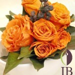 Thumbnail of post image 049