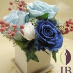 Thumbnail of post image 156