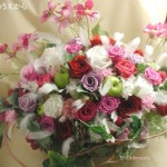 Thumbnail of post image 185