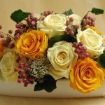 Thumbnail of post image 072