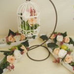 Thumbnail of post image 043