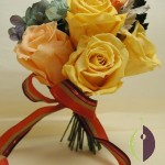 Thumbnail of post image 178