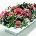 Thumbnail of post image 080