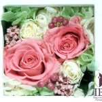 Thumbnail of post image 022