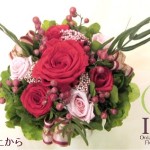 Thumbnail of post image 079