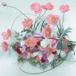 Thumbnail of post image 039