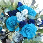 Thumbnail of post image 089