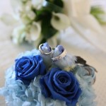 Thumbnail of post image 014